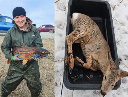 A fisherman from the Novosibirsk region and his friend rescued more than thirty roe deer trapped in the ice.
